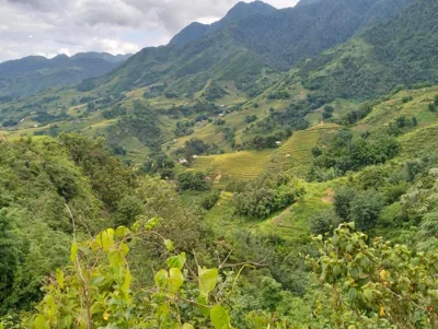 Zoo si homestay – 照片 10