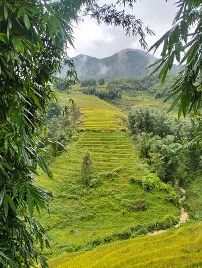 Zoo si homestay – 照片 11