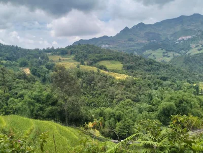 Zoo si homestay – 照片 14