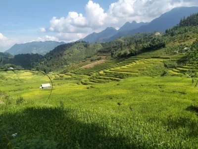 Zoo si homestay – 照片 16